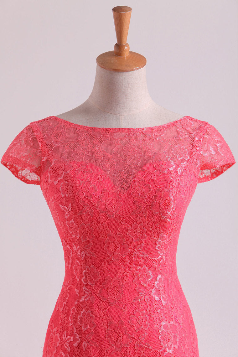 2022 Bridesmaid Dresses Scoop Column Floor Length Lace