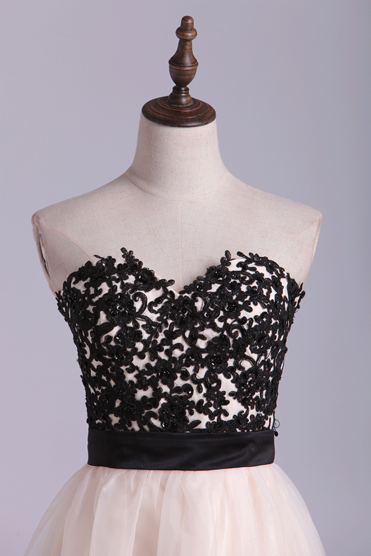 2022 New Arrival Dresses Sweetheart A Line Mini Bicolor Organza&Lace