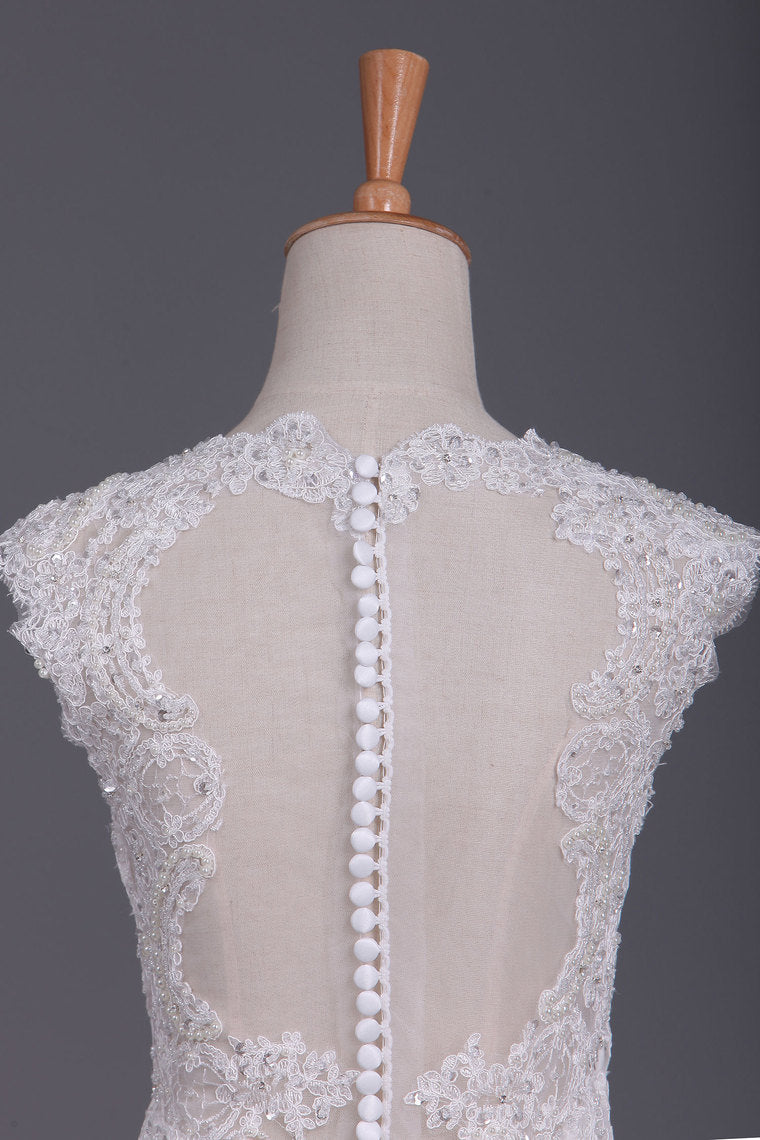 2022 V Neck Wedding Dresses Mermaid/Trumpet Court Train Tulle