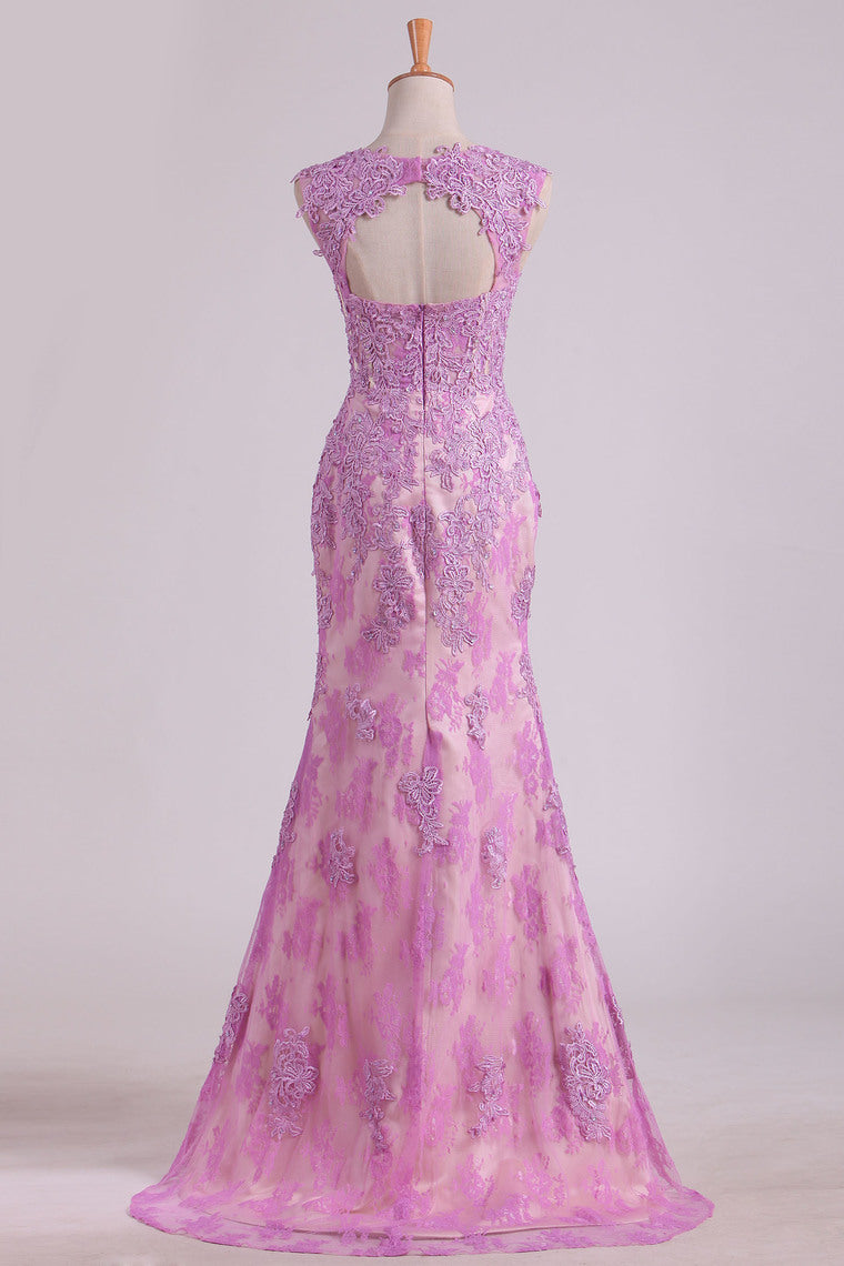 2022 See-Through Lace & Tulle  Straps Prom Dresses Sheath With Beading And Applique