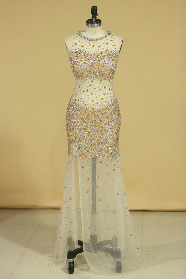 Prom Dresses