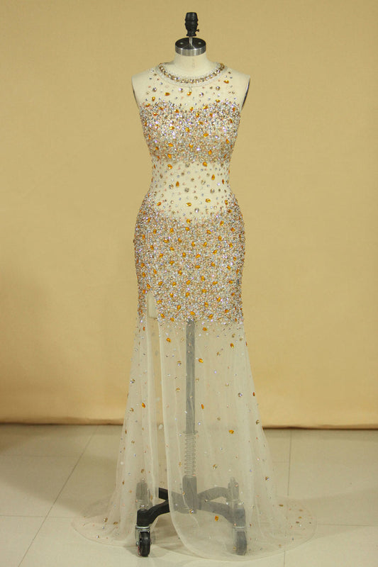 Prom Dresses