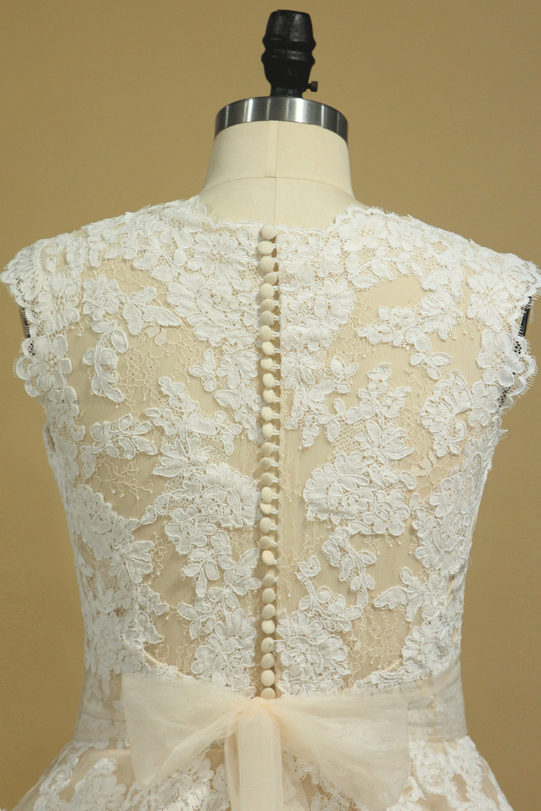 2022 Plus Size V Neck Wedding Dresses Tulle With Applique Court Train Tulle