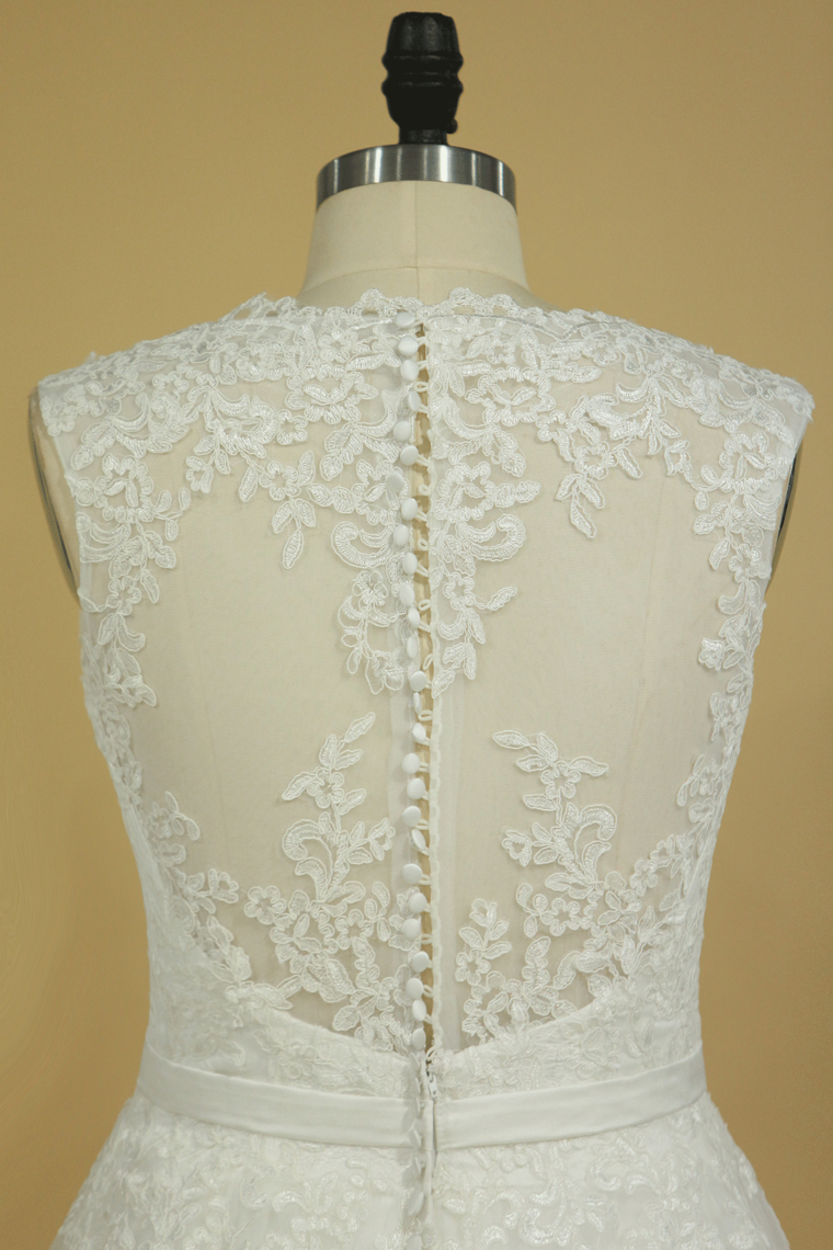 2022 Plus Size V-Neck Wedding Dresses A-Line Court Train Tulle With Applique & Belt Covered Button