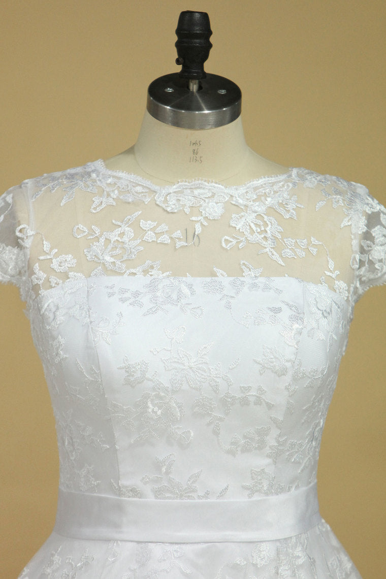 2022 Plus Size Scoop Short Sleeve Knee-Length A Line Lace With Sash Wedding Dresses