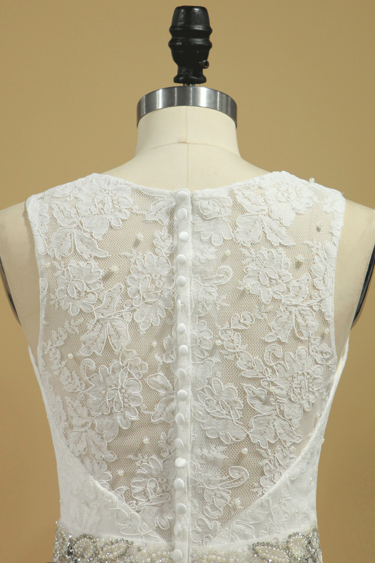 2022 Plus Size Scoop Wedding Dresses Chic  Mermaid/Trumpet Chapel Train