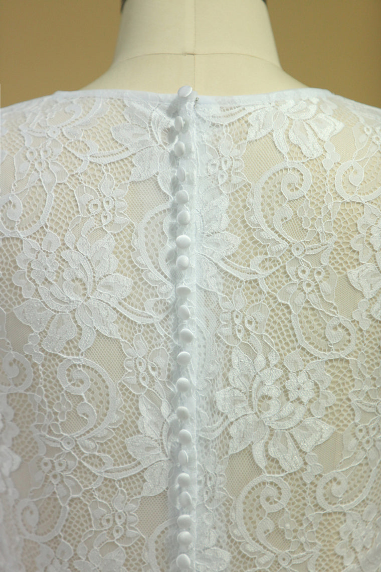2022 Plus Size Long Sleeves Wedding Dresses Scoop A Line Tulle & Lace Sweep Train