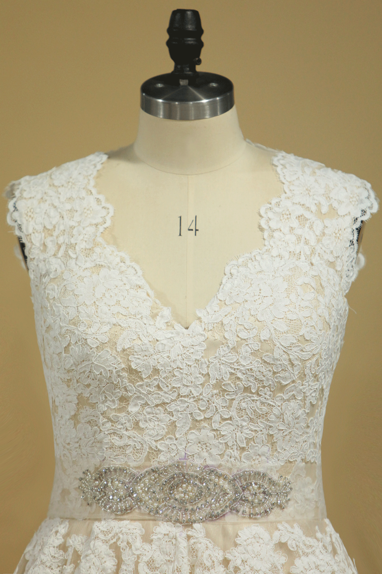 2022 Plus Size V Neck Wedding Dresses Tulle With Applique Court Train Tulle