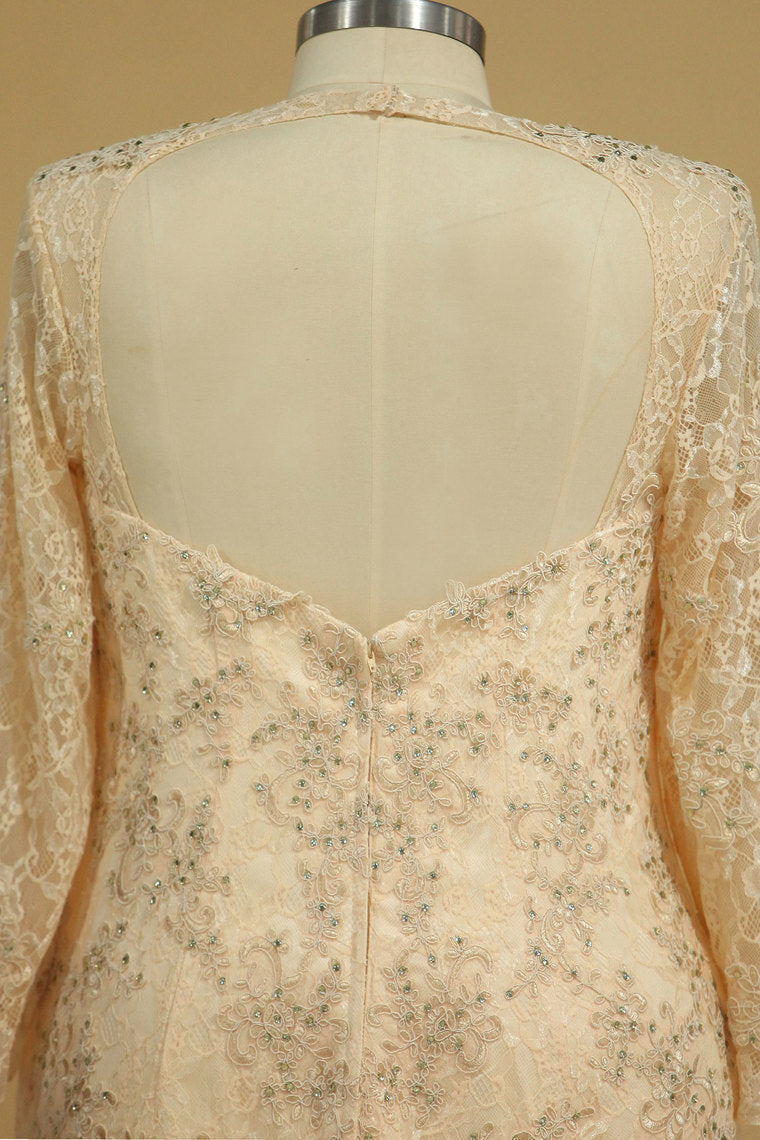 2022 Prom Dresses V Neck Long Sleeves Sweep Train Tulle & Lace