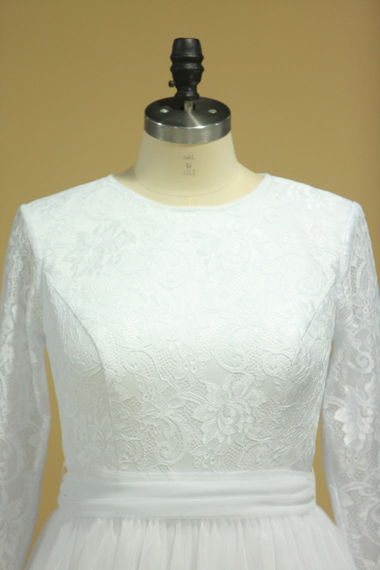 2022 Plus Size Long Sleeves Wedding Dresses Scoop A Line Tulle & Lace Sweep Train