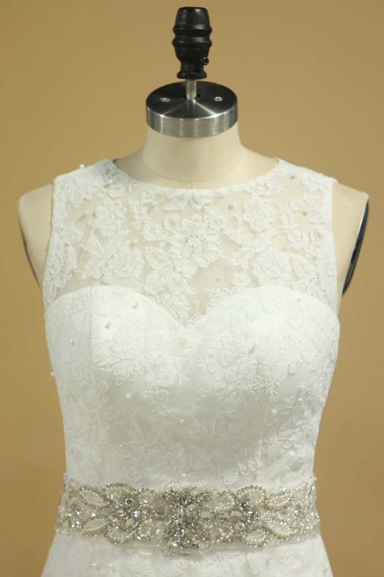 2022 Plus Size Scoop Wedding Dresses Chic  Mermaid/Trumpet Chapel Train