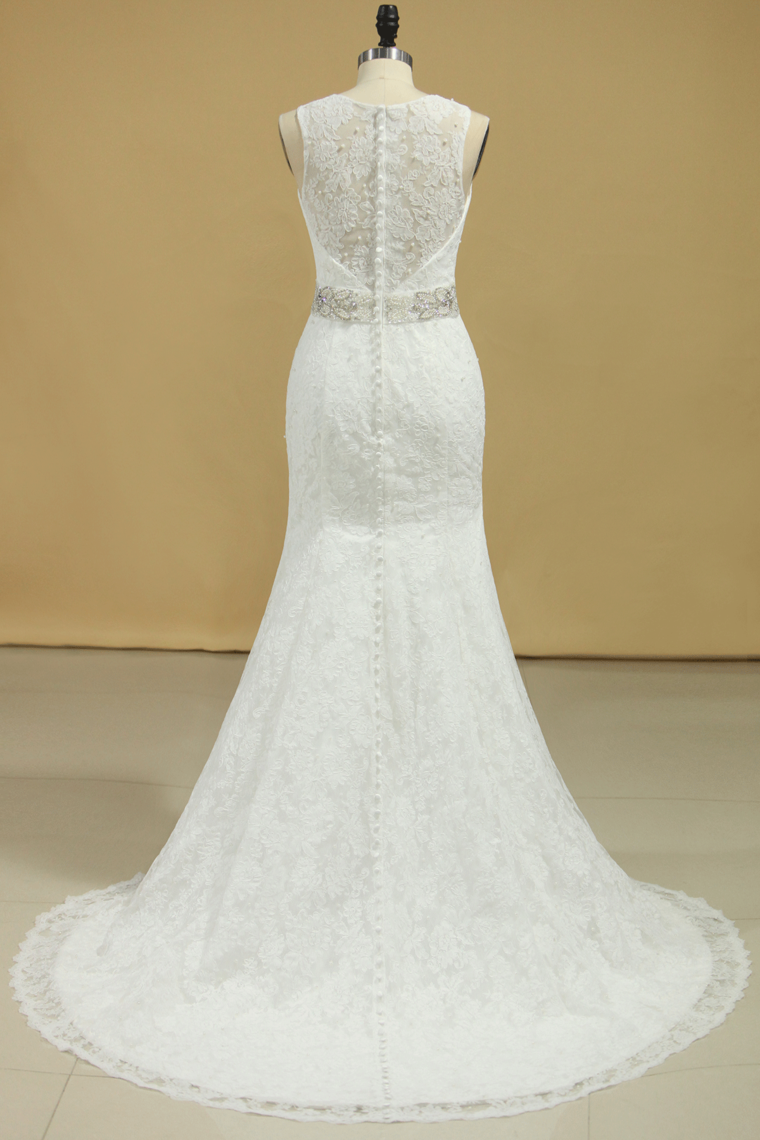 2022 Plus Size Scoop Wedding Dresses Chic  Mermaid/Trumpet Chapel Train