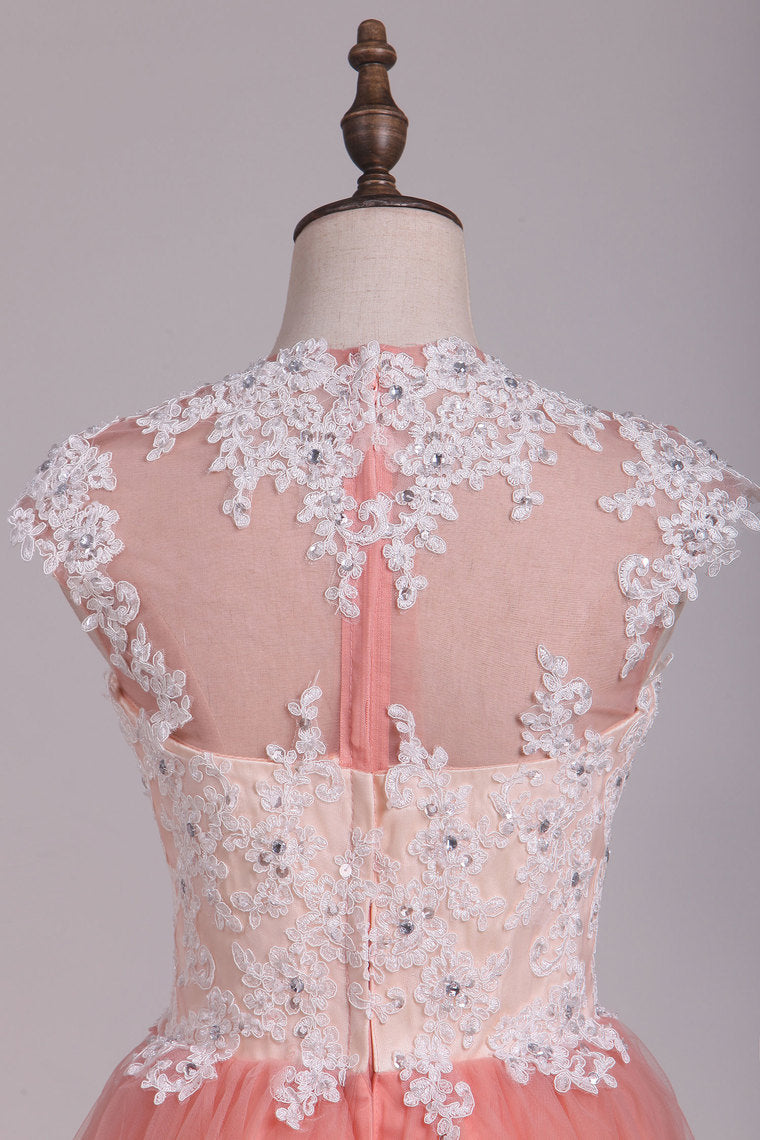 2022 Homecoming Dresses A Line High Neck Tulle With Applique